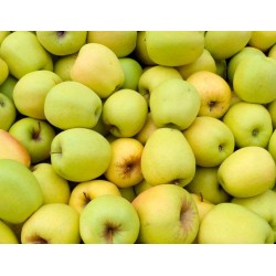 Pommes Golden 1kg (5-6 pièces)