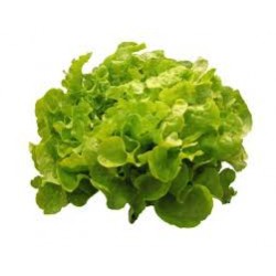 Salade Verte (unité)
